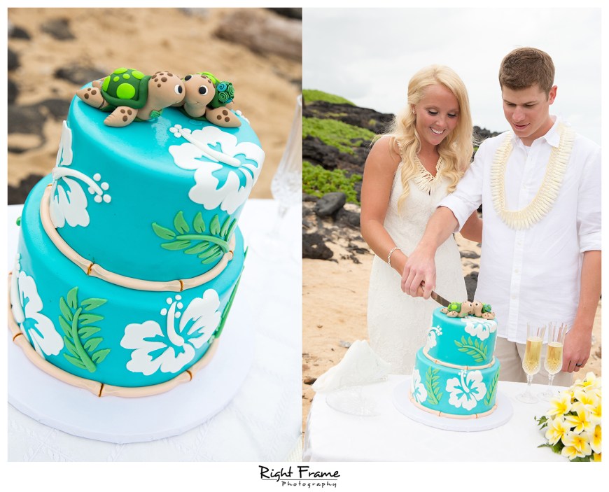 hawaii destination wedding makapuu beach