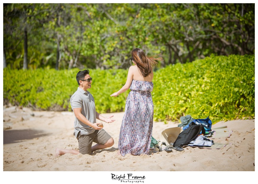 surprise engagement proposal in hawaii