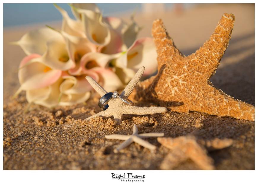 Sunset Engagement Photographer near Turtle Beach Resort Oahu