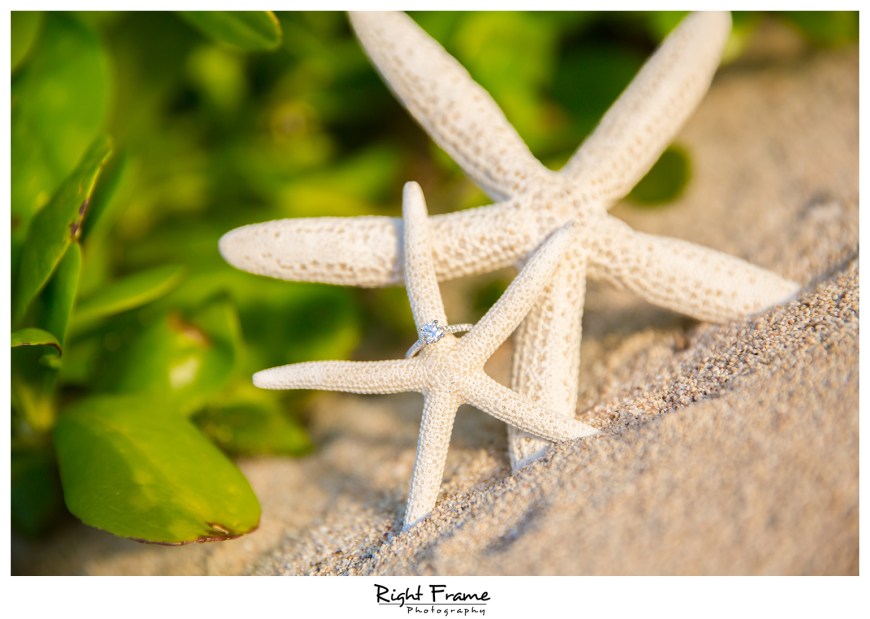 Engagement Photographer Honolulu Oahu Hawaii