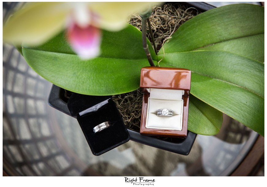 Wedding in WAIKIKI MOANA SURFRIDER HOTEL