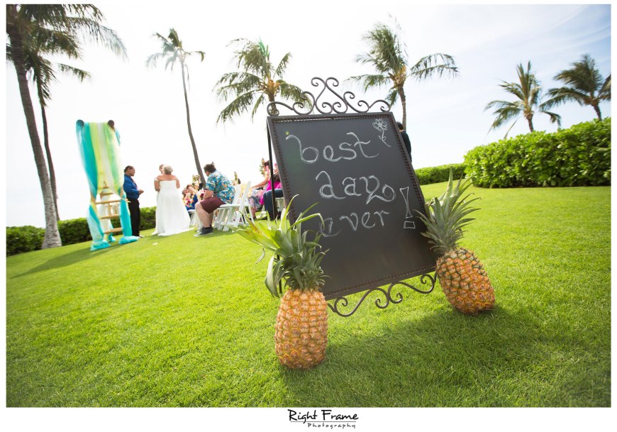 _Eloping in Hawaii Paradise Cove Aulani Disney