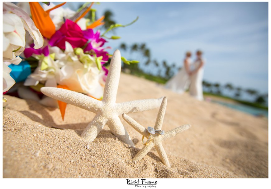 _Eloping in Hawaii Paradise Cove Aulani Disney