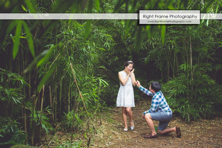 ENGAGEMENT PHOTOGRAPHY in Hawaii Oahu