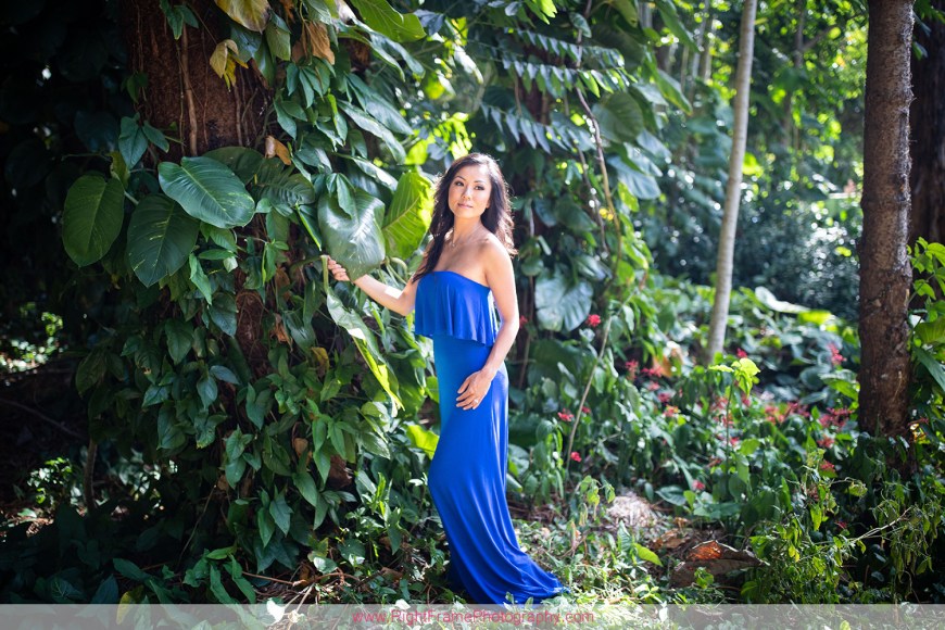 Wedding Honeymoon Photographers Hawaii